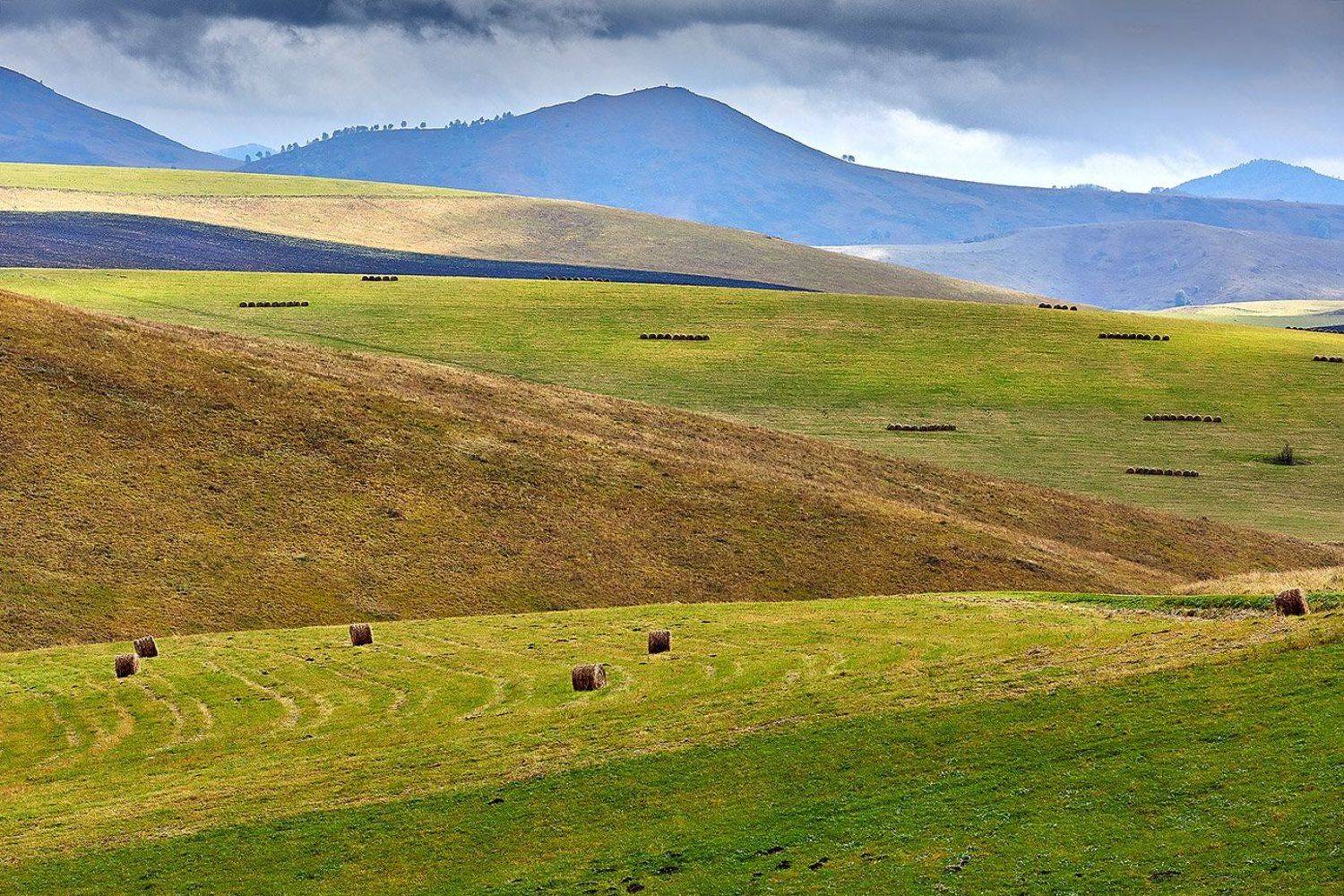 алтай, ледник актру, актру, алтайский край, долина, весна,осень, лиственницы, ледник,ледники, Качурин Алексей