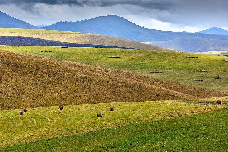алтай, ледник актру, актру, алтайский край, долина, весна,осень, лиственницы, ледник,ледники Этюд пространства фото превью