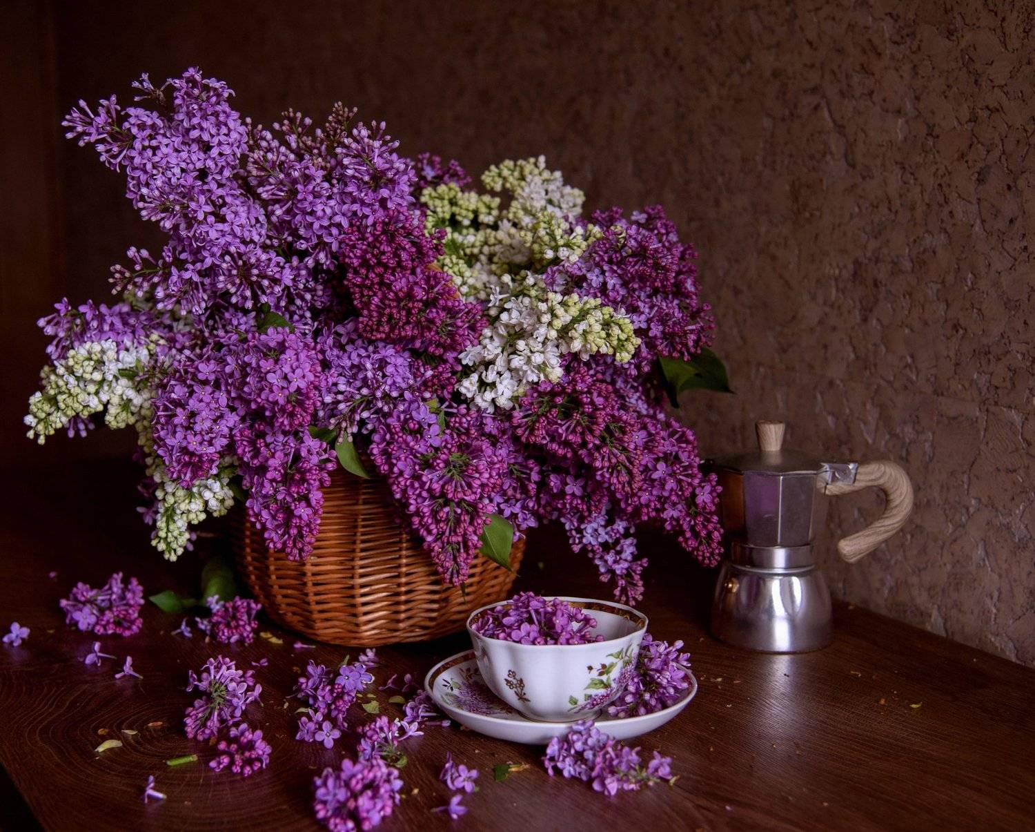 , Елена Вапняр