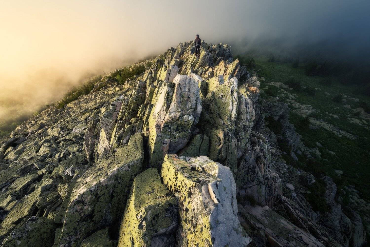 , Михаил Туркеев