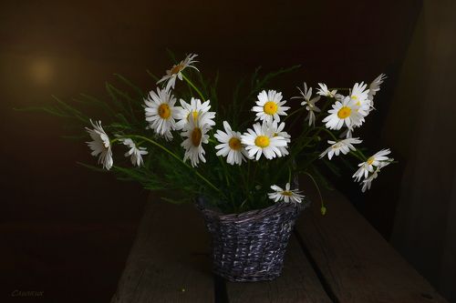 С ромашками
