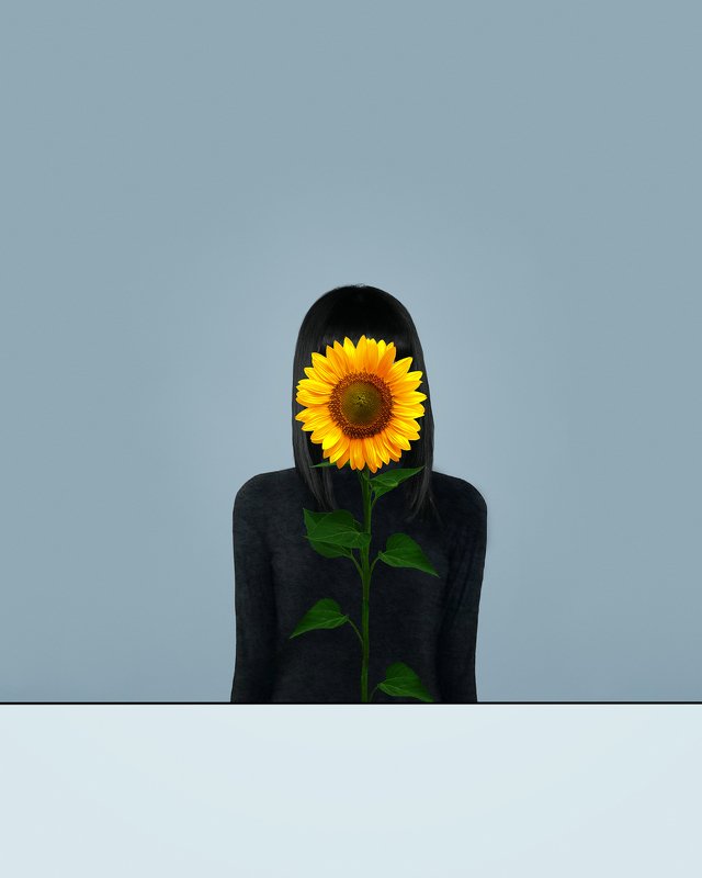 conceptualism fine art  conceptual  minimalism surreal existentialism  contemporary art  conceptual photography surreal photography sunflower фото превью