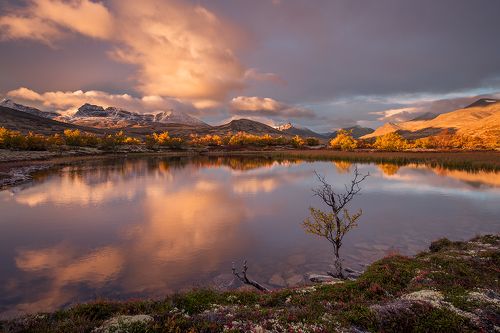 Rondane