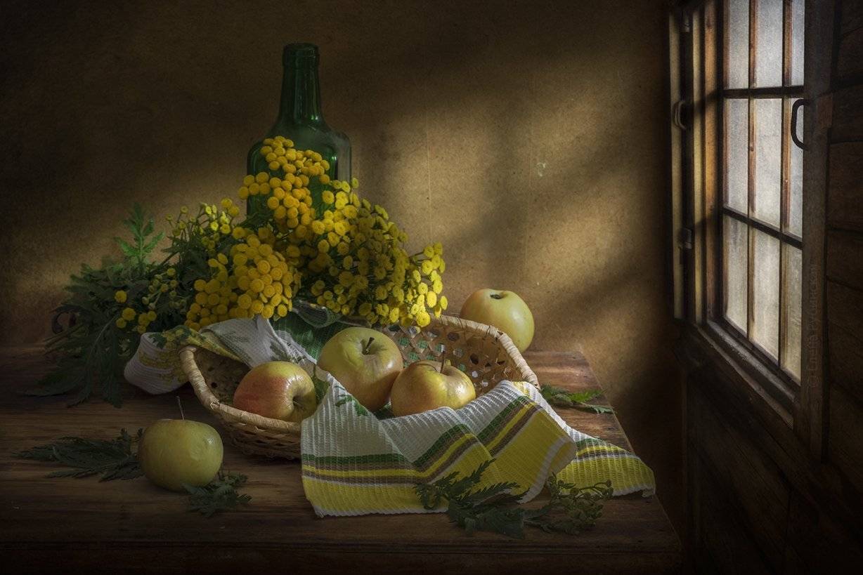натюрморт,яблоки,пижма,моё любимое окно, Елена Рубинская