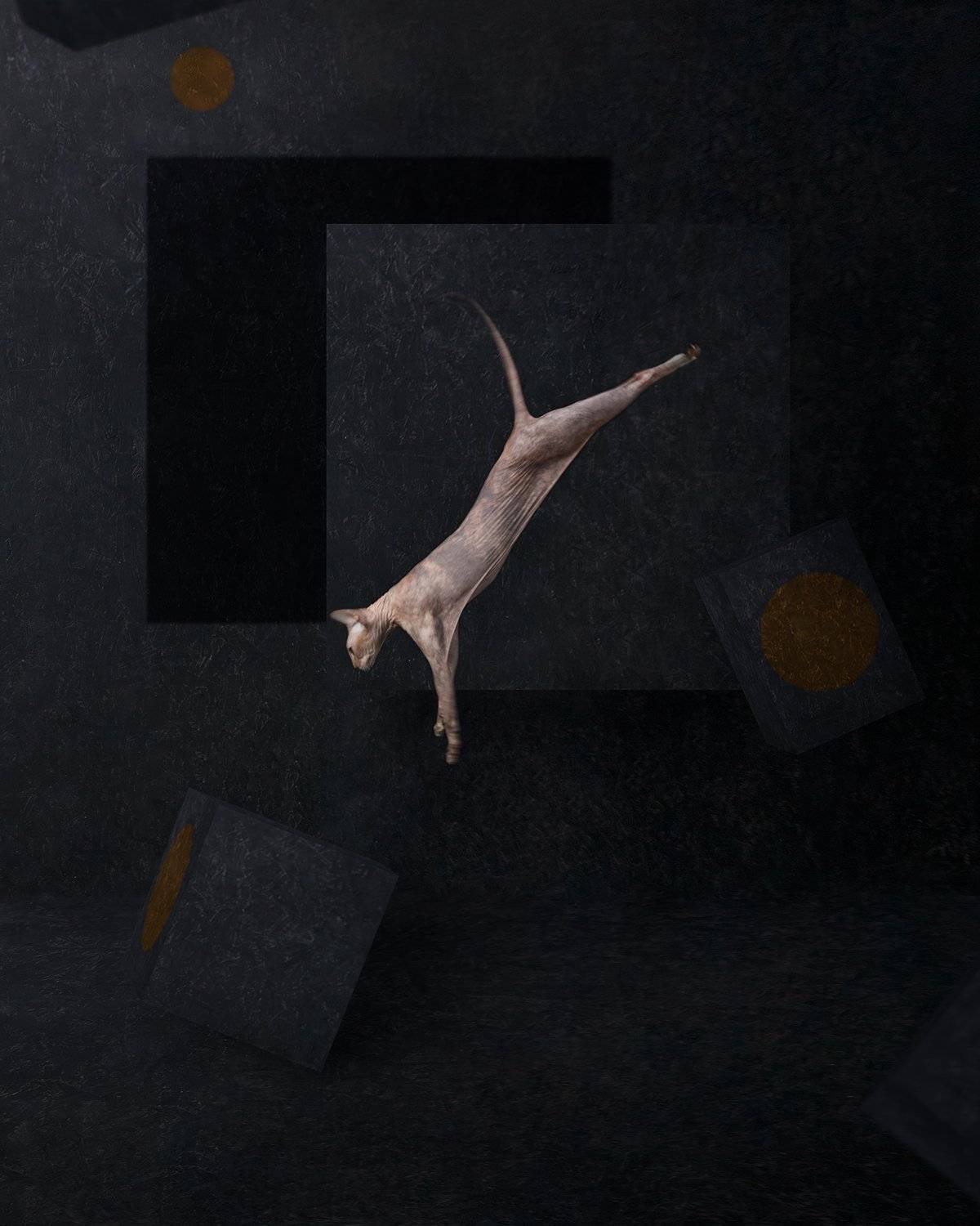 art, portrait, photomanipulation, photoshop, composing, Филипп Рабачев