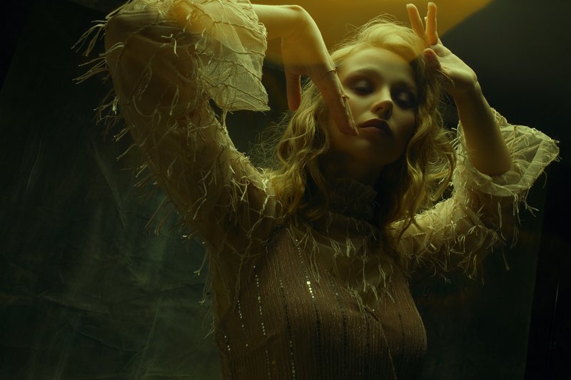 Bird фото превью