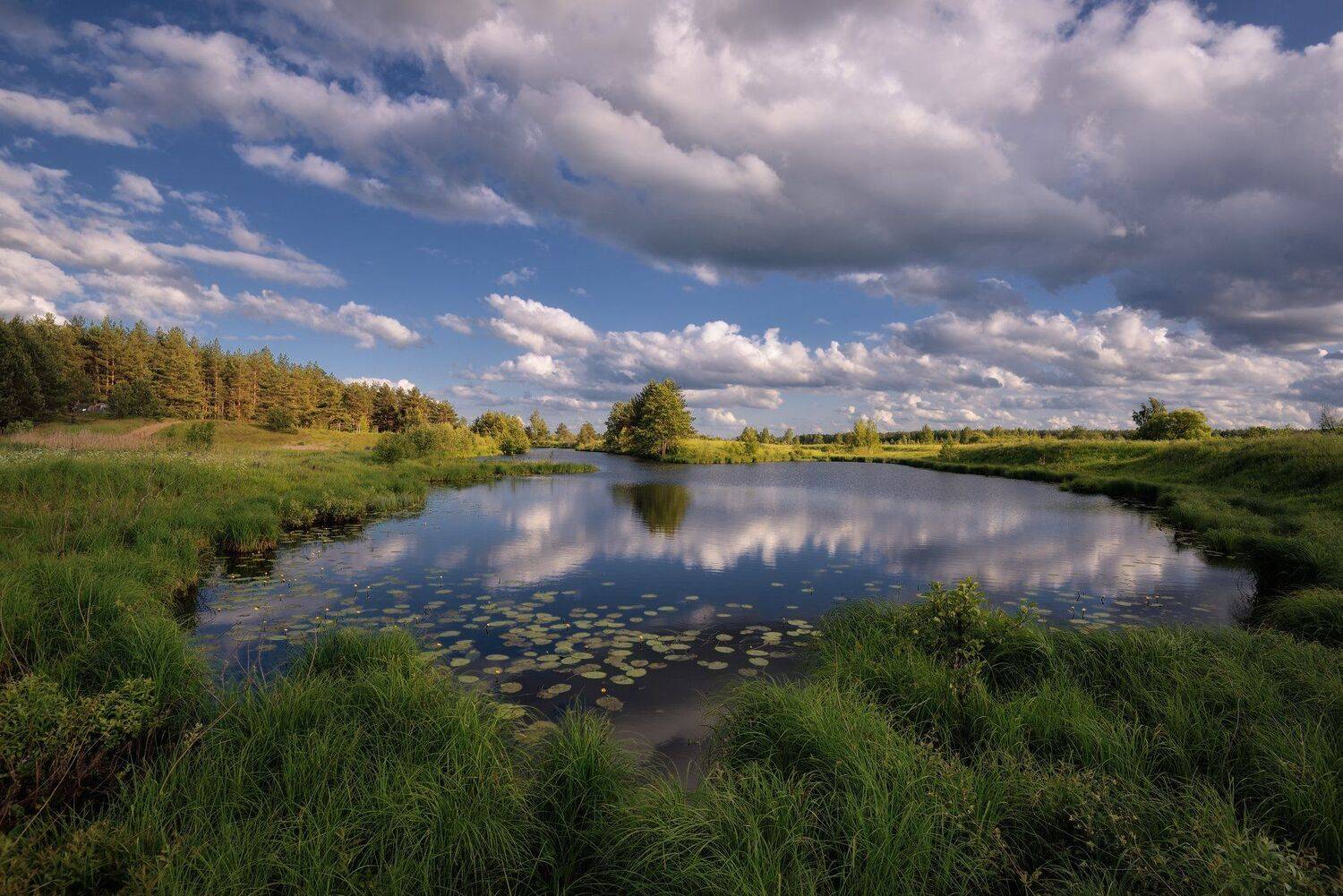лето,река,небо,облака, Виталий Полуэктов