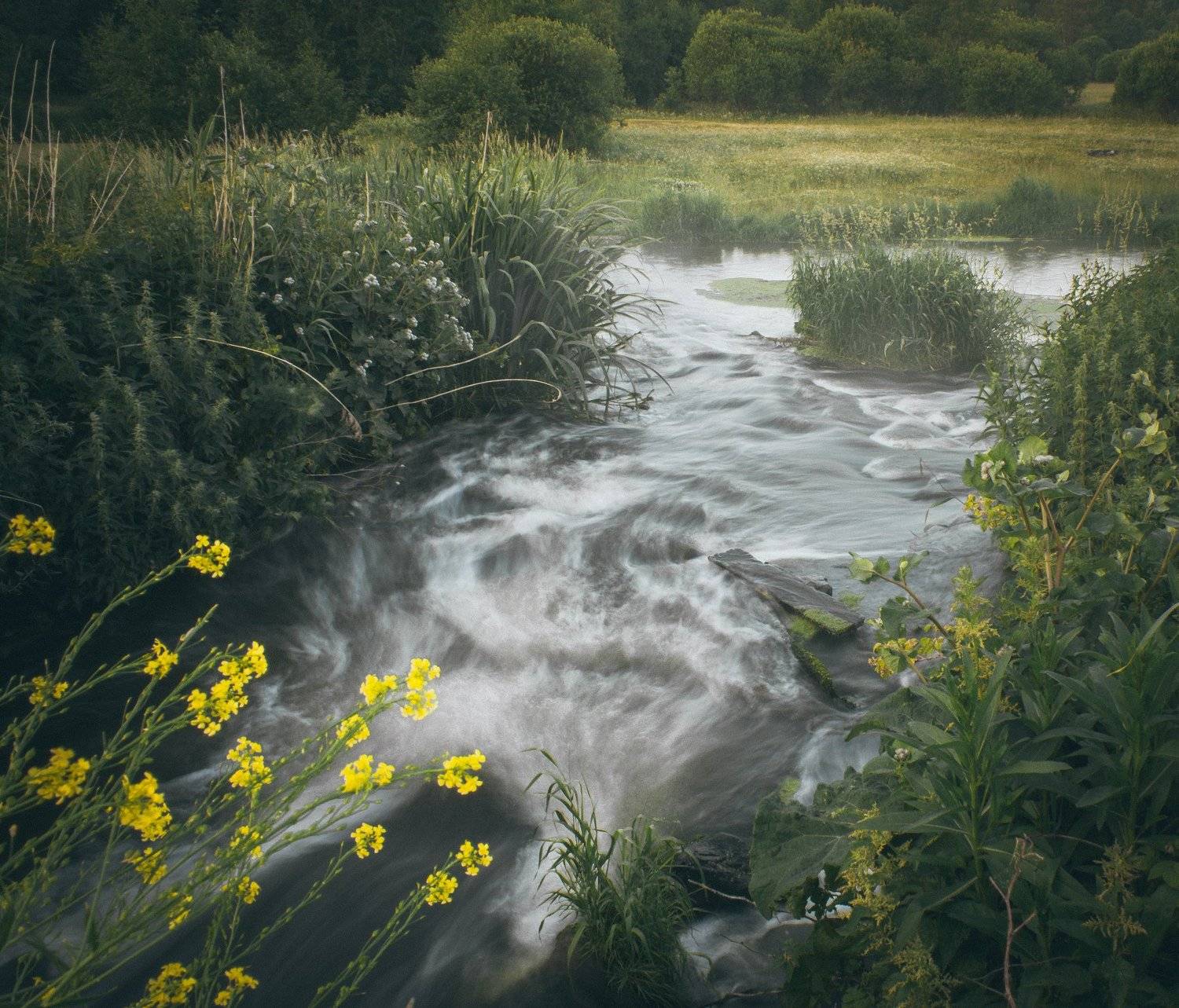 , Александр Казин