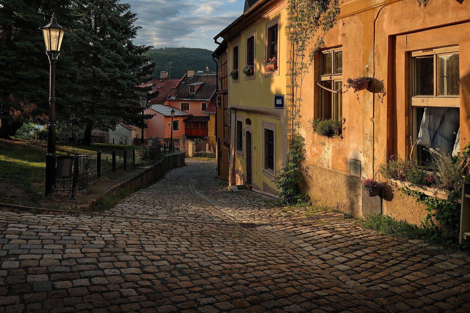 , Григорий Бельцев