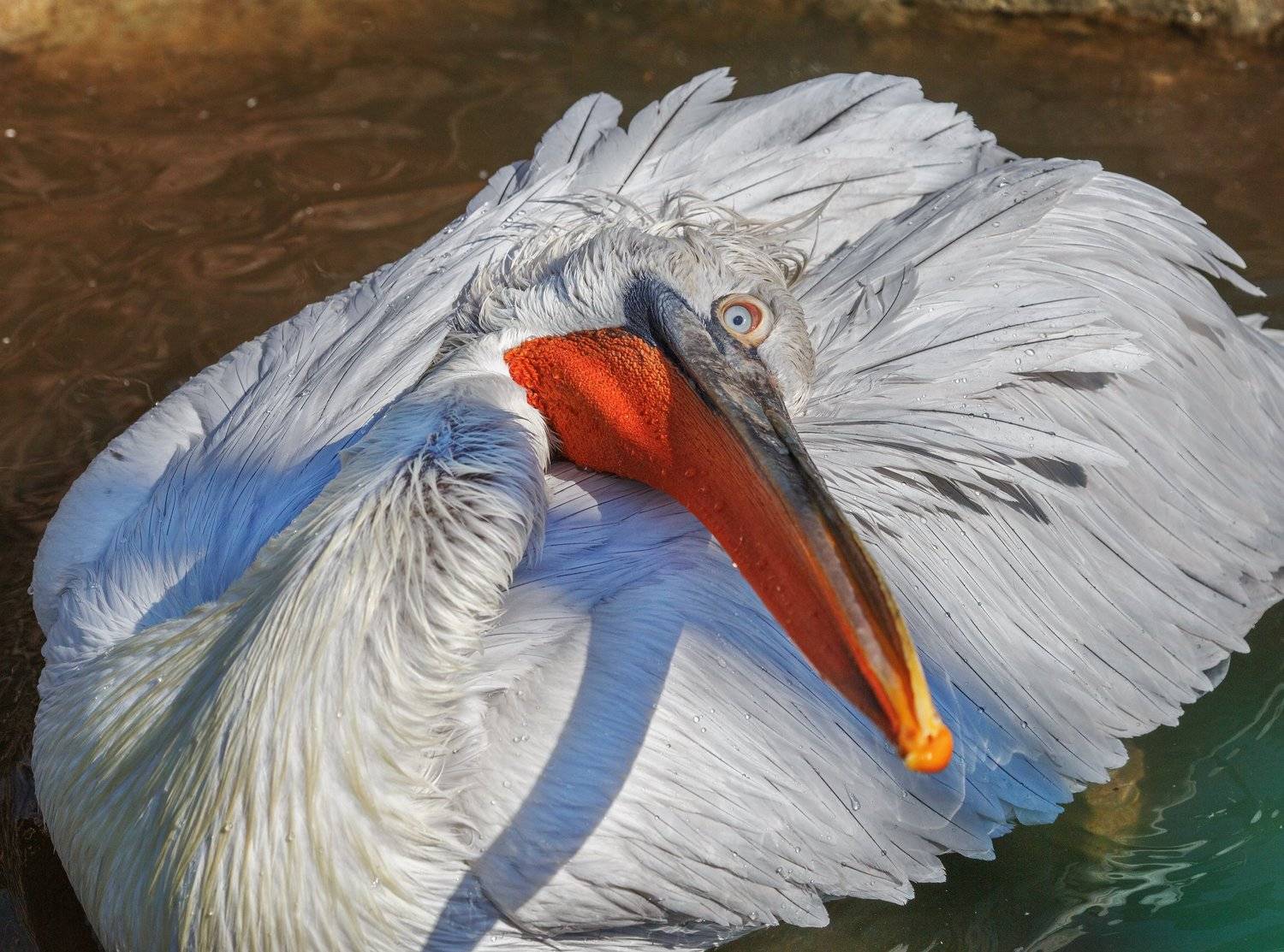 , Олег Богданов