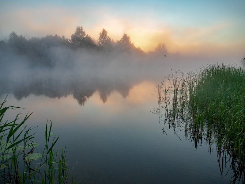 Редкая птица долетит.... фото превью