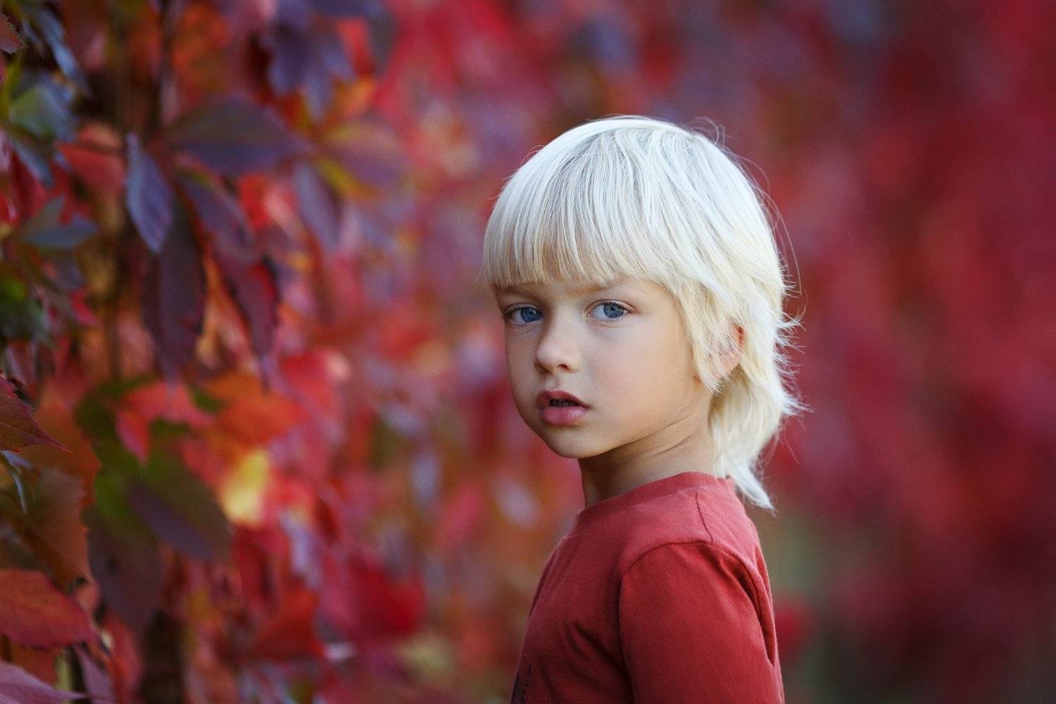 дневной свет, лето, малыш, синие глаза, блондин, Оксана Ведмеденко