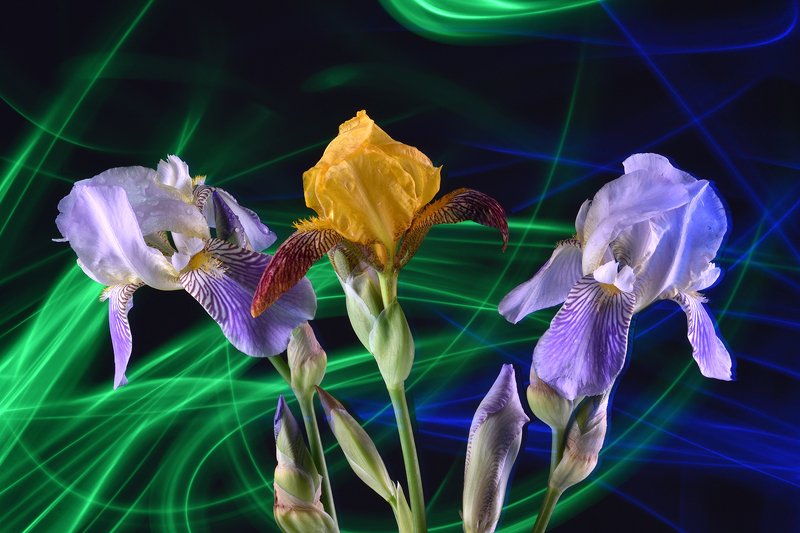 третий лишний Третий лишний фото превью