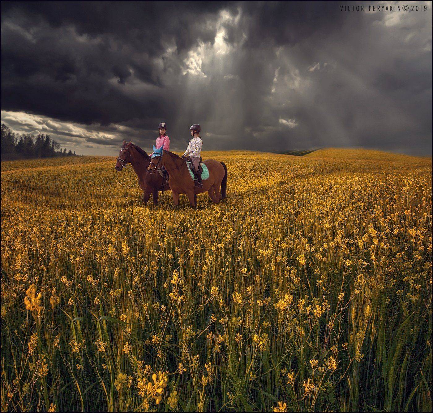 , Виктор Перякин