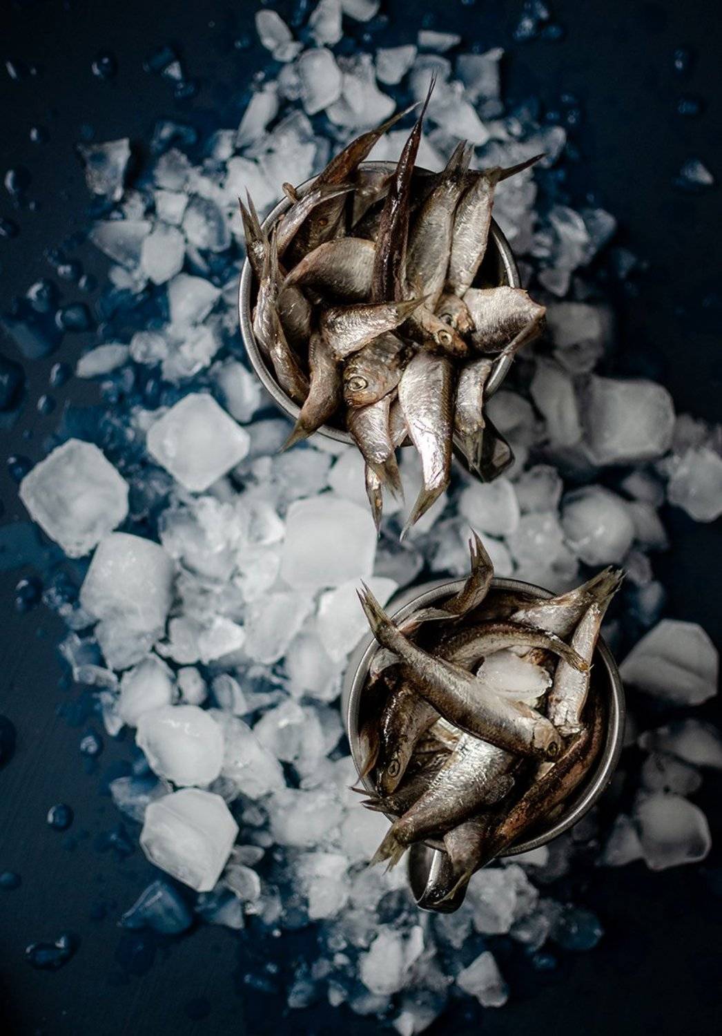 , Чернякова Анна