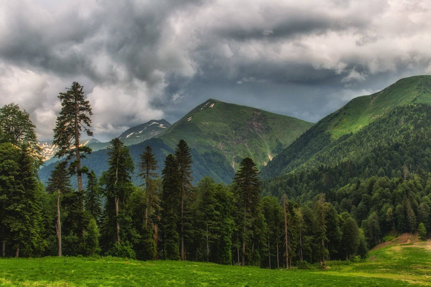 , Павел Сагайдак