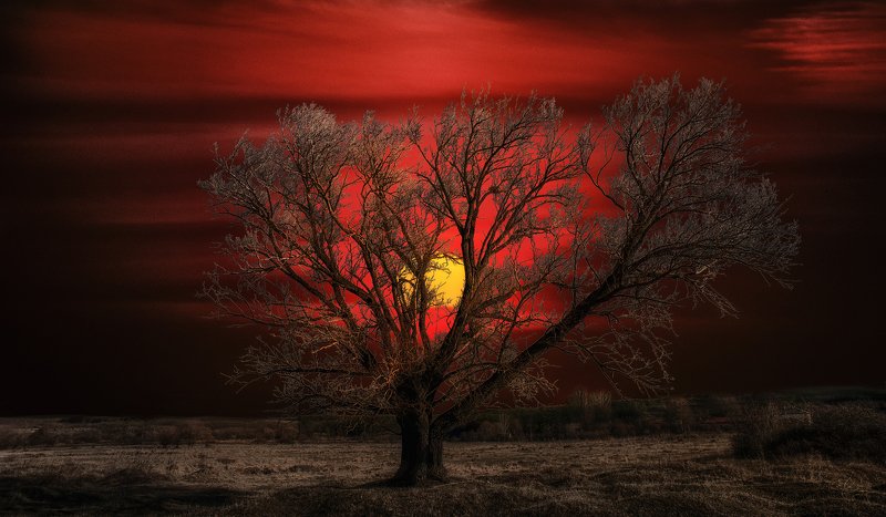 * фото превью