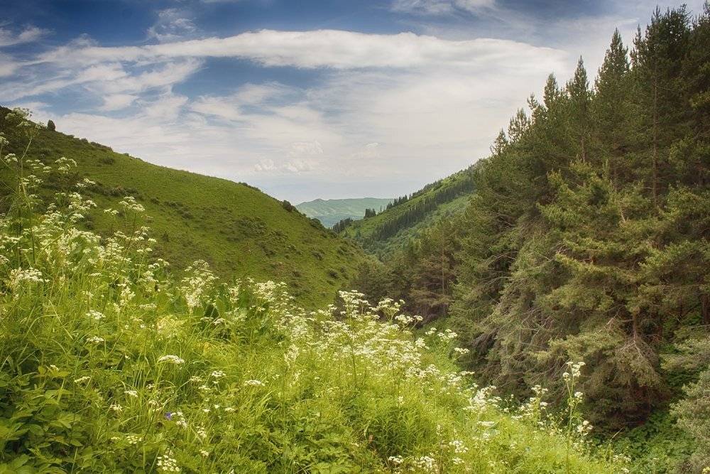кыргызстан, горы, Элина Магалимова