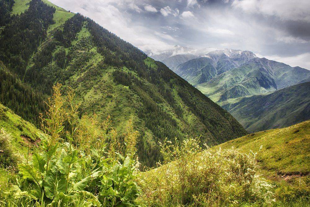 кыргызстан, горы, Элина Магалимова