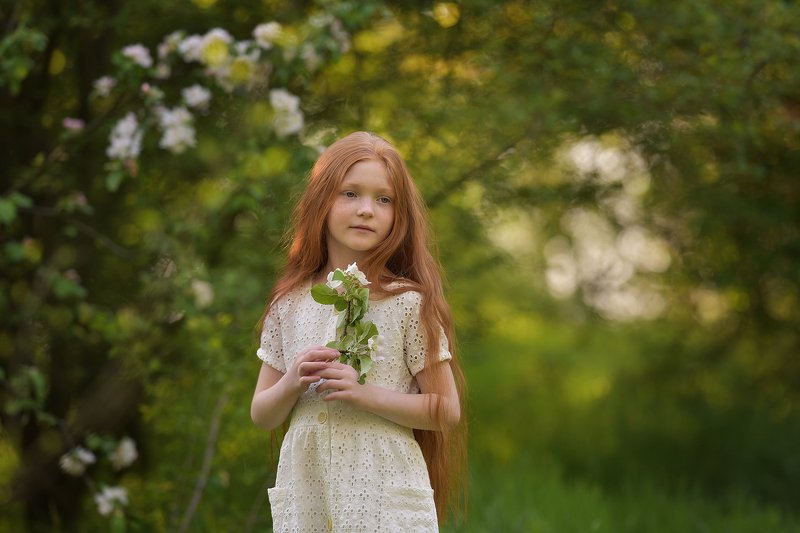 дети, детская фотография, яблоневый сад, яблони, девочка Сады цветут фото превью