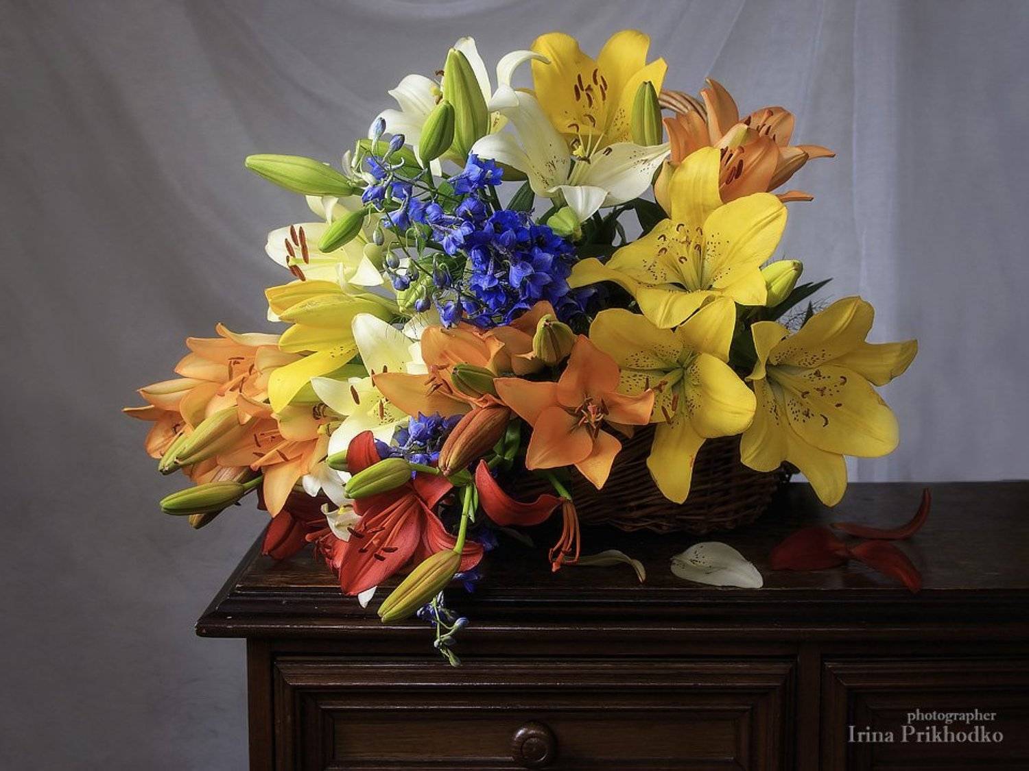 натюрморт, лилии, разноцветные. букет, корзина, лето, Ирина Приходько