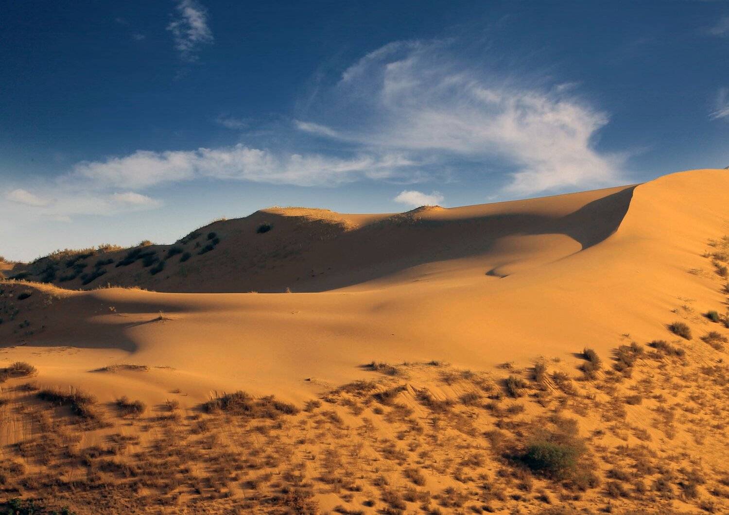 песок,песчаная гора,сарыкум,жёлтые пески,дагестан,заповедник., Marat Magov
