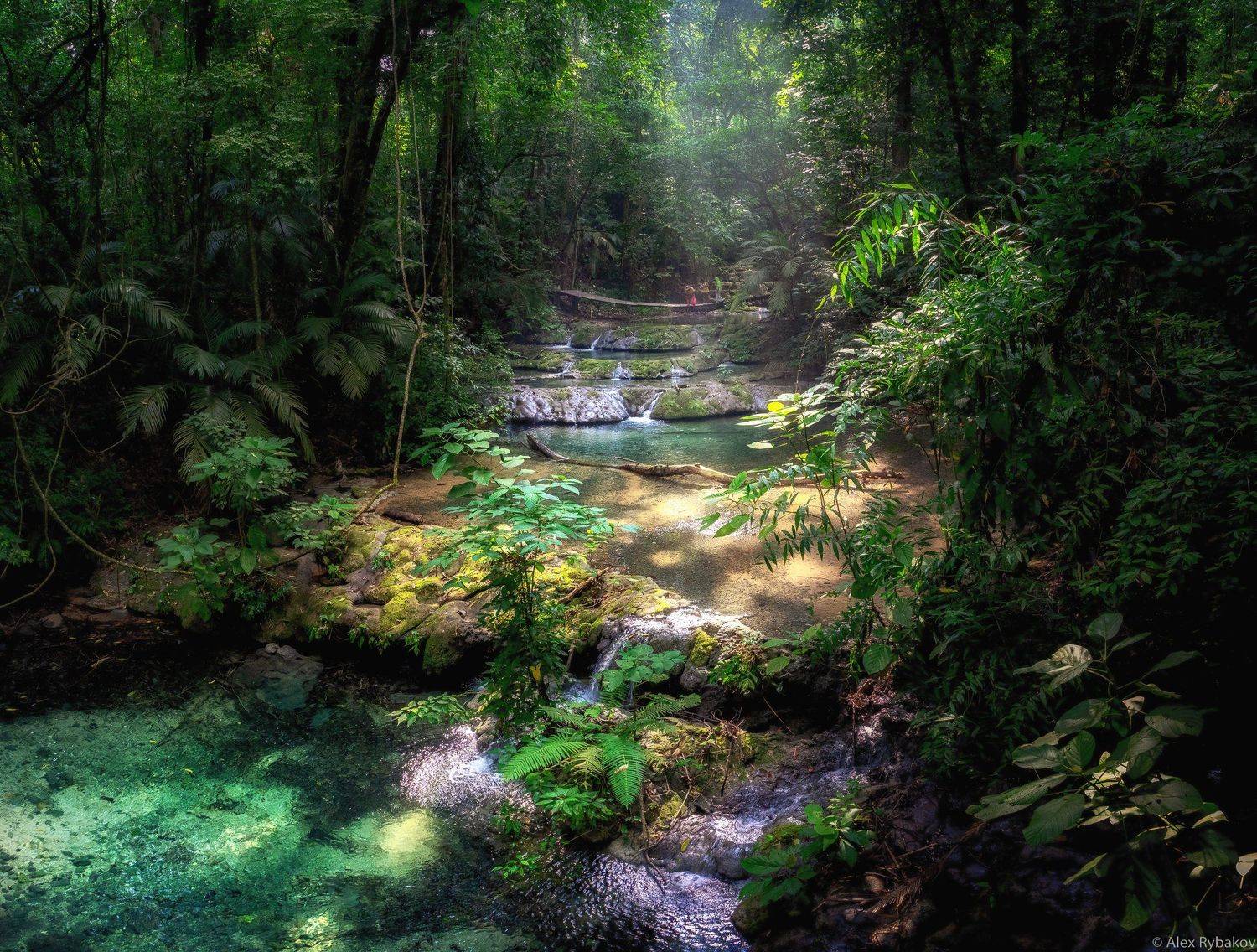 джунгли, майя, Александр Рыбаков