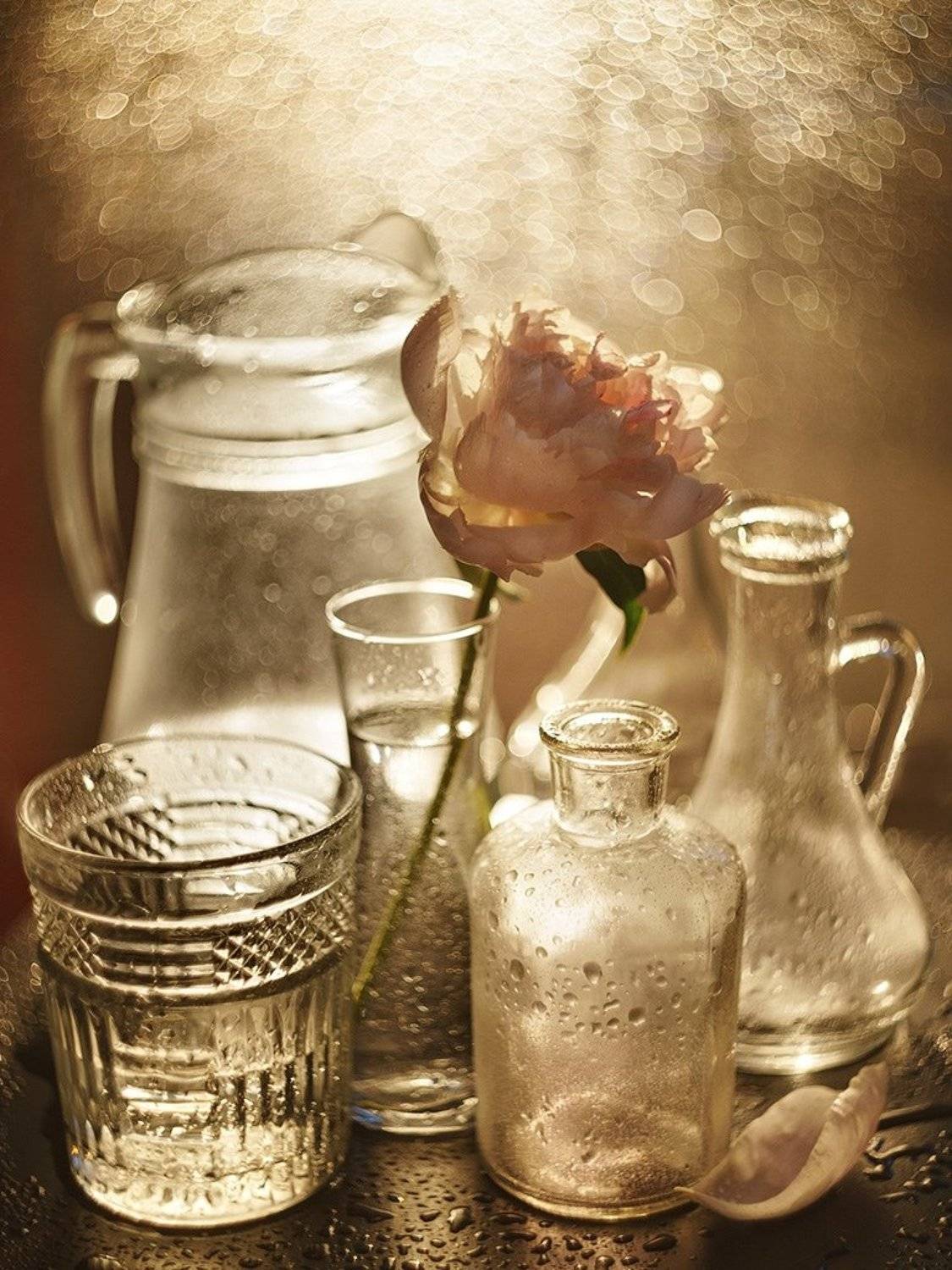 , Казанцев Алексей