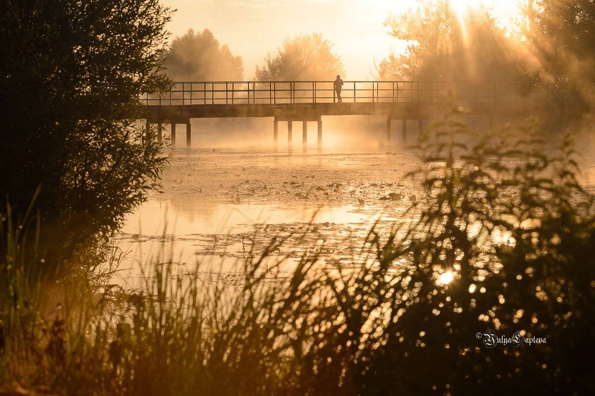 пейзаж,природа,рассвет,утро,красота,россия,туман,июнь, Юлия Лаптева