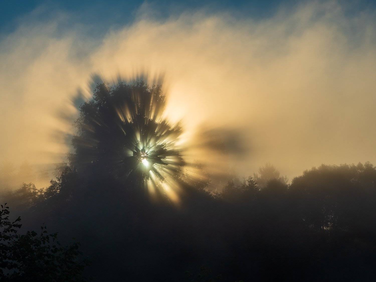 , Владимир Перепечаев