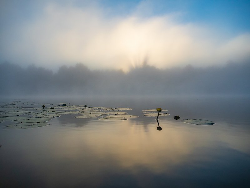 ** фото превью