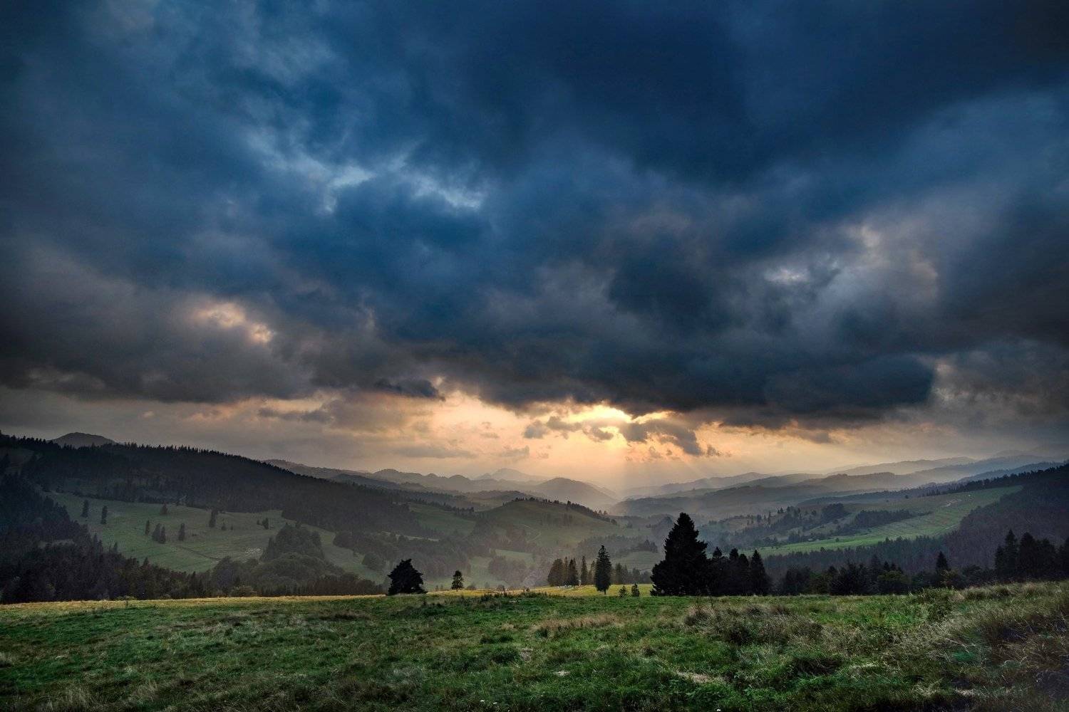 , Andrzej Paszkowski