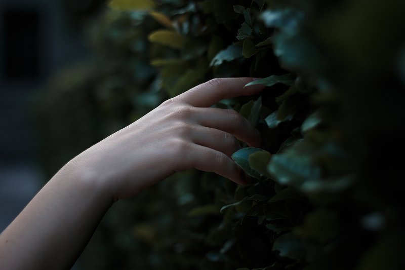 touch фото превью