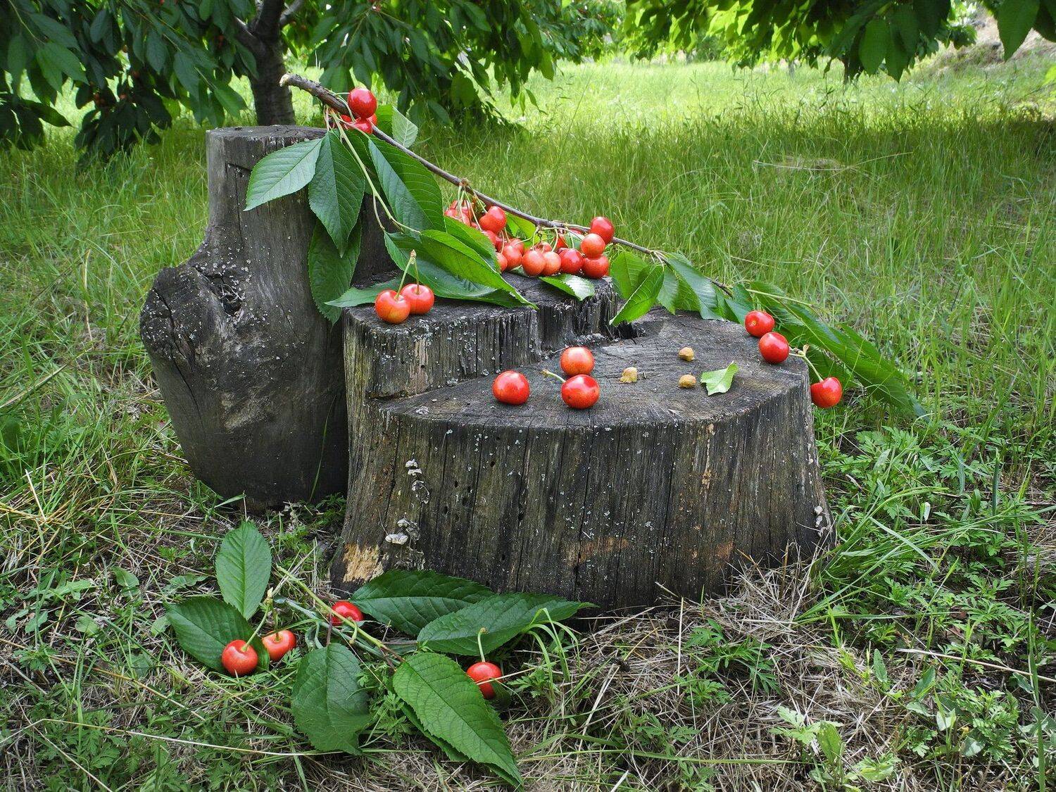, Сергей Фунтовой