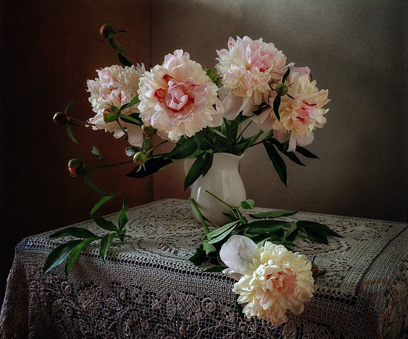 Пионы фото превью