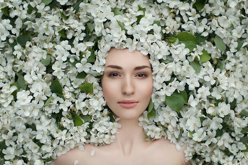 Яблоня фото превью