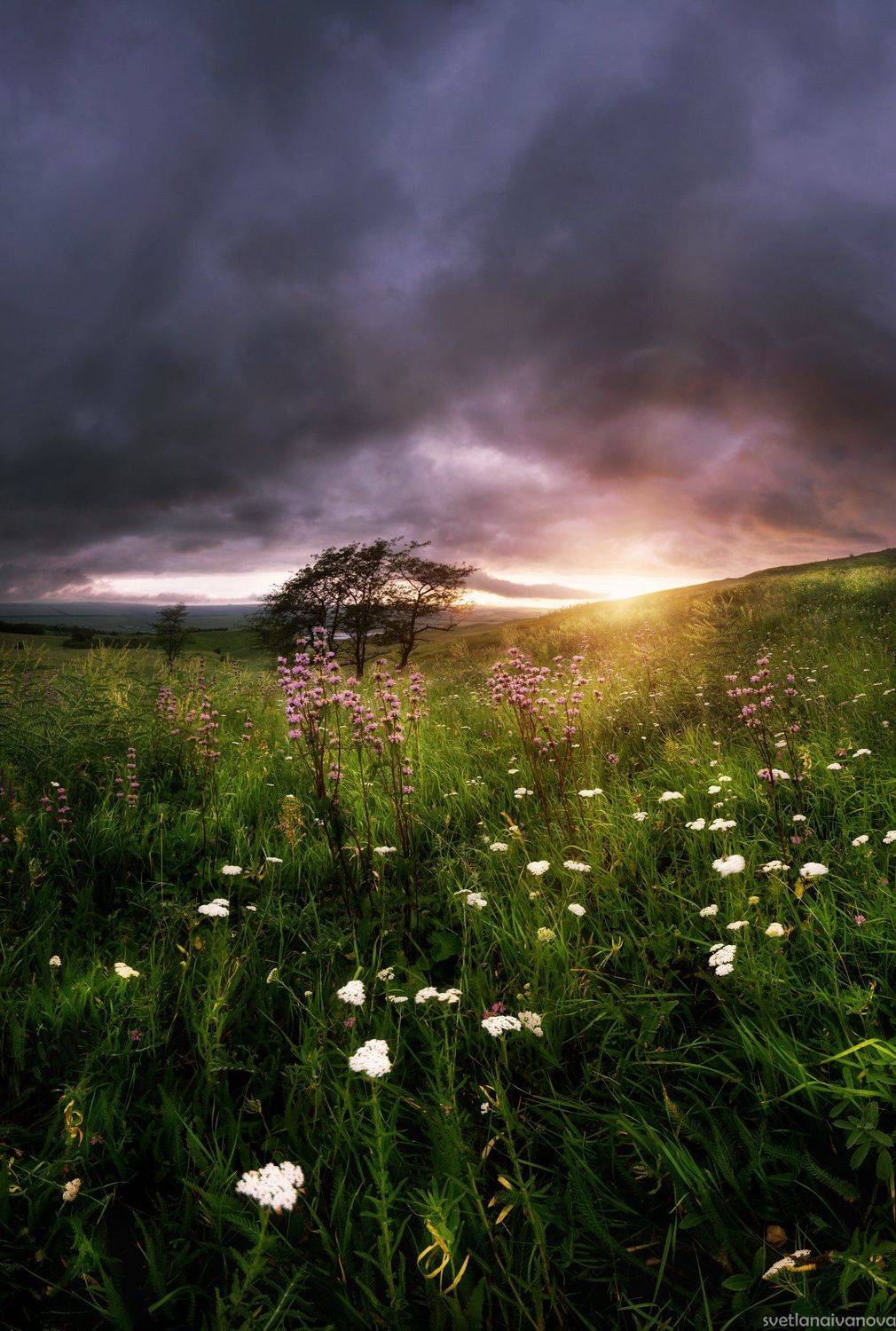 , Светлана Иванова