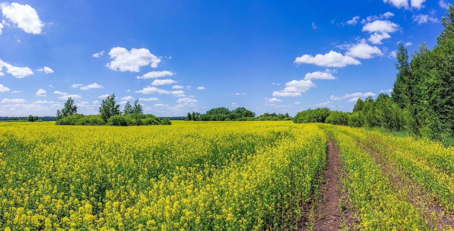 лето, дали, облака, дорога, дороги, поле, Руслан Востриков