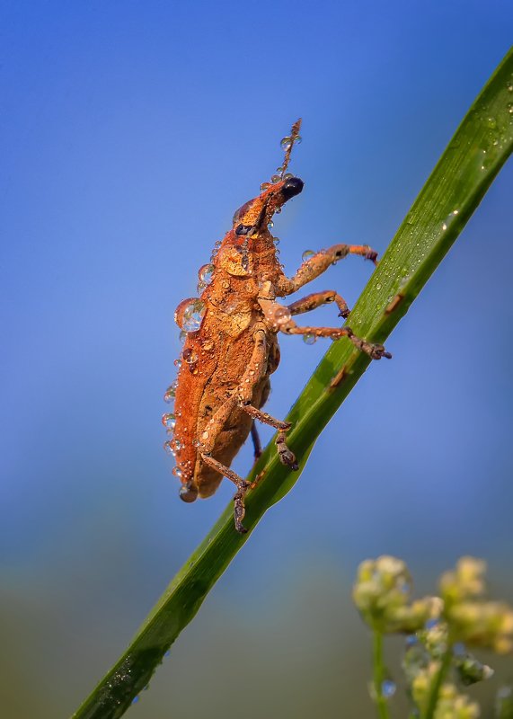Вверх! фото превью