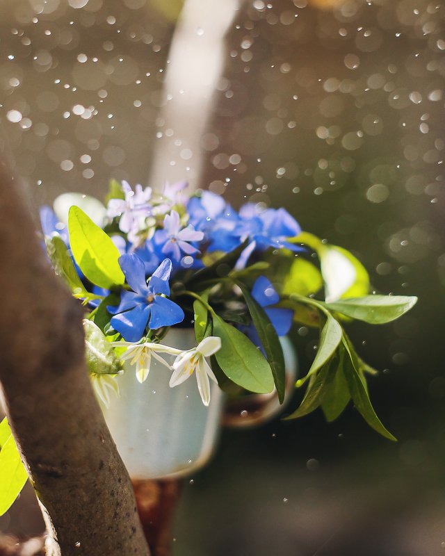 &&& фото превью