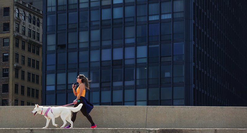 city, wolk *** фото превью