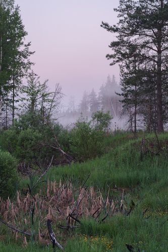 Мглистое утро.