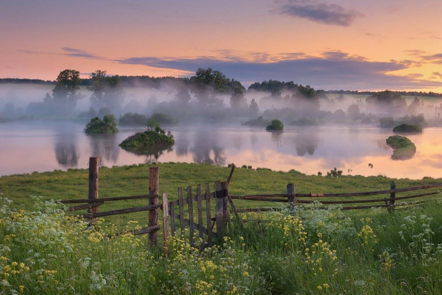 туман, лето, изгородь, Дмитрий Медянцев
