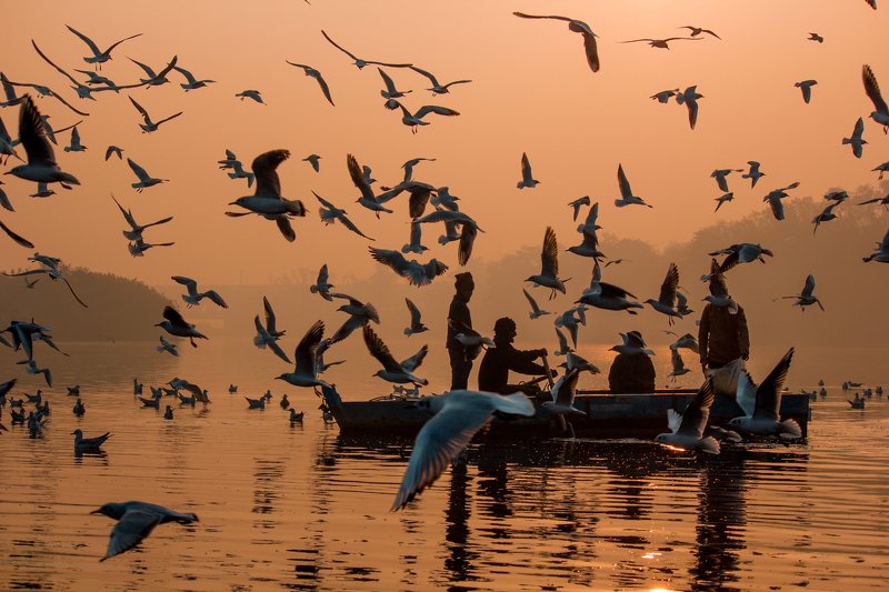 My 10 photos for full membership фото превью