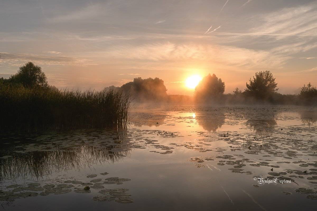 пейзаж,россия,уро,рассвет,лето,река,красота,природа, Юлия Лаптева