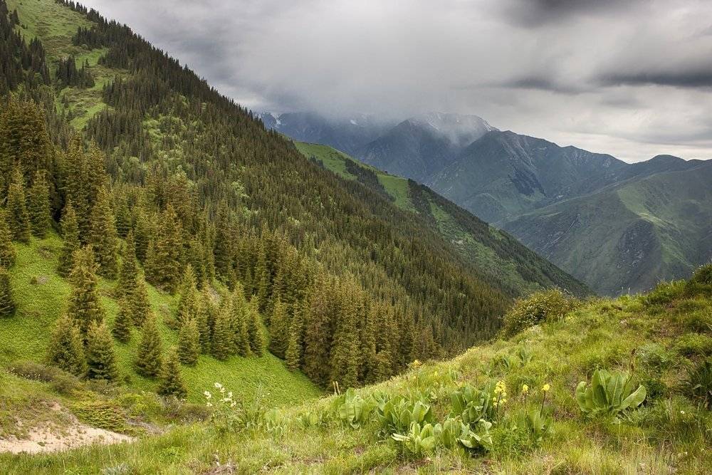 кыргызстан, горы, Элина Магалимова