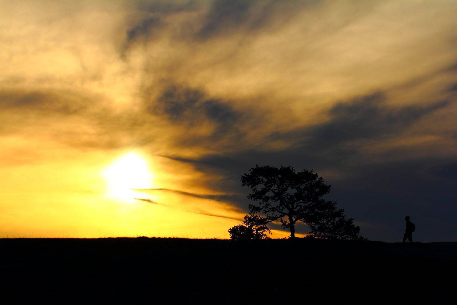 заход, солнце, вечер, небо, облака, sunset, evening, sky, clouds, homecoming, Дмитрий Салтыков