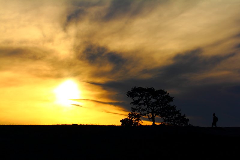 заход, солнце, вечер, небо, облака, sunset, evening, sky, clouds, homecoming Возвращение... фото превью