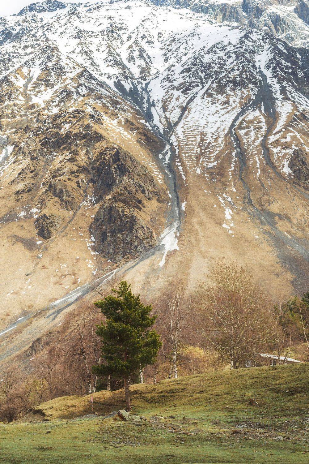 , Игорь Криницын