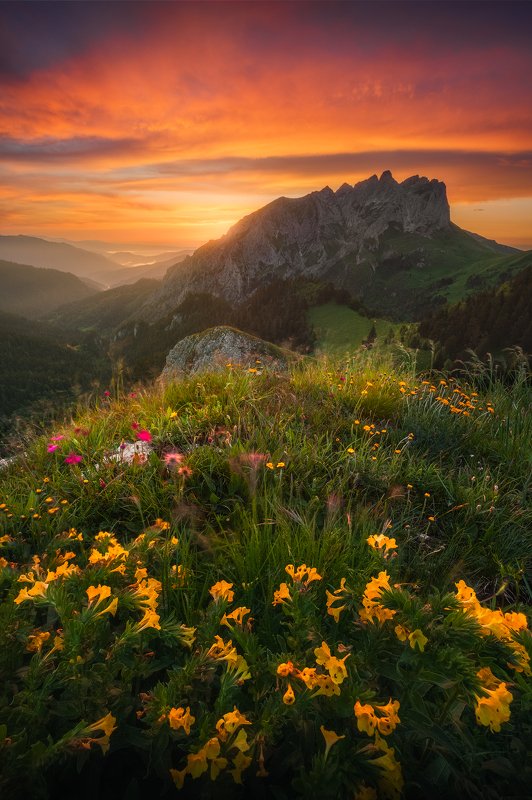 Адыгея, ч.2 фото превью